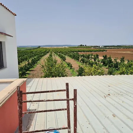 Appartamento Casa Da Zio Minguccio *